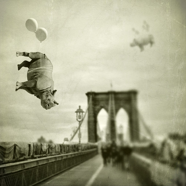 Meet me on the Brooklyn Bridge © Janine Graf