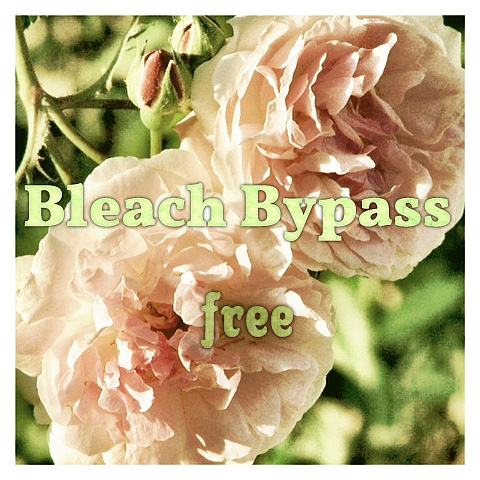 Bleach Bypass for iPhone Free