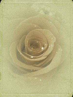 Vintage rose iPhone tutorial pt. 2