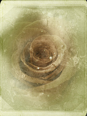 Vintage rose iPhone tutorial pt. 3