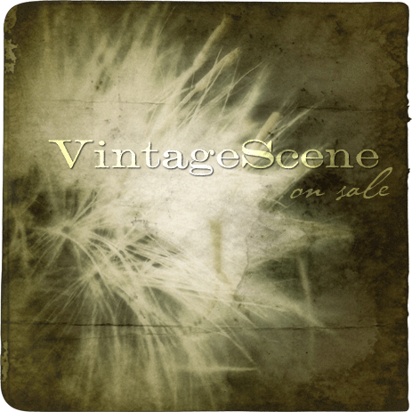 VintageScene on sale